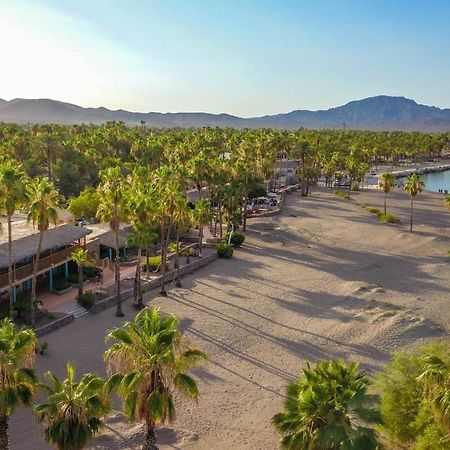 Hotel Oasis Loreto  Extérieur photo