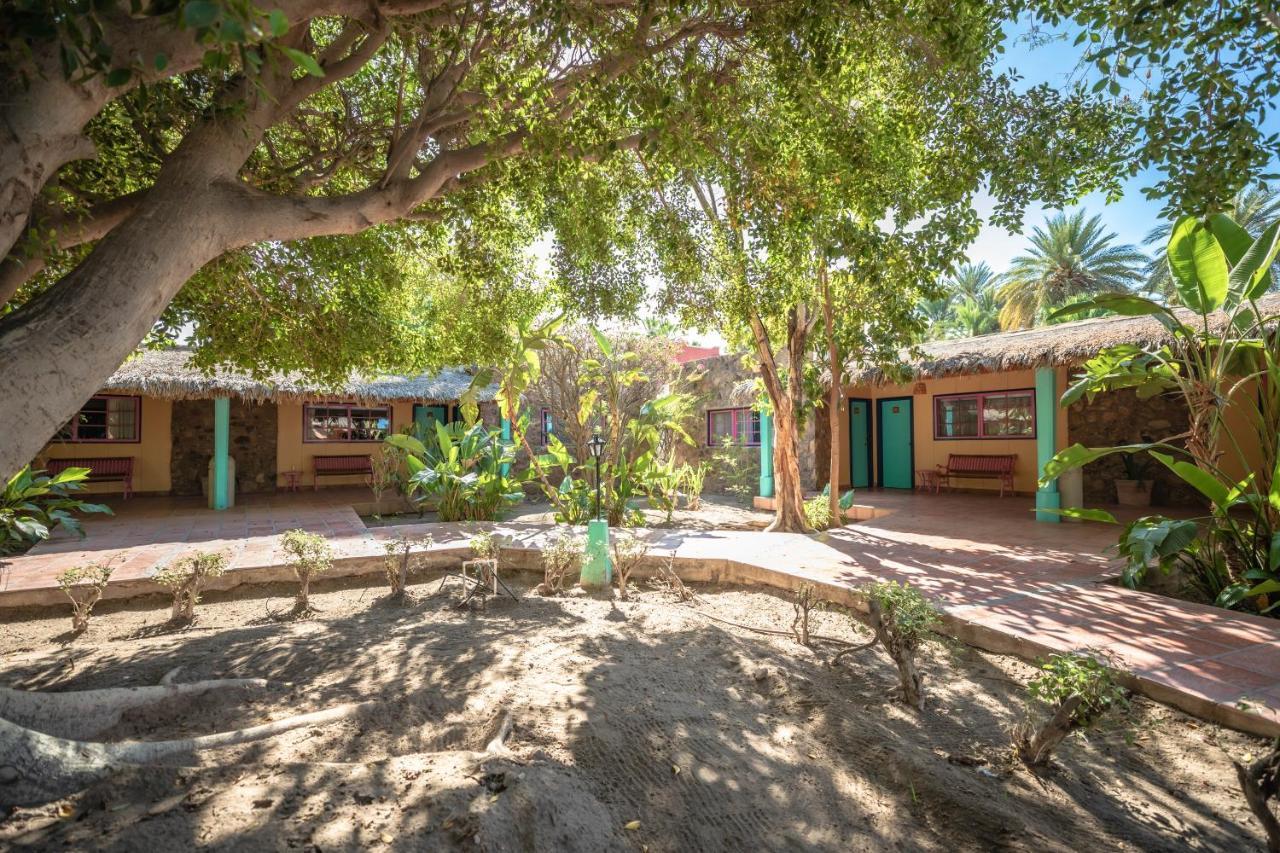 Hotel Oasis Loreto  Extérieur photo