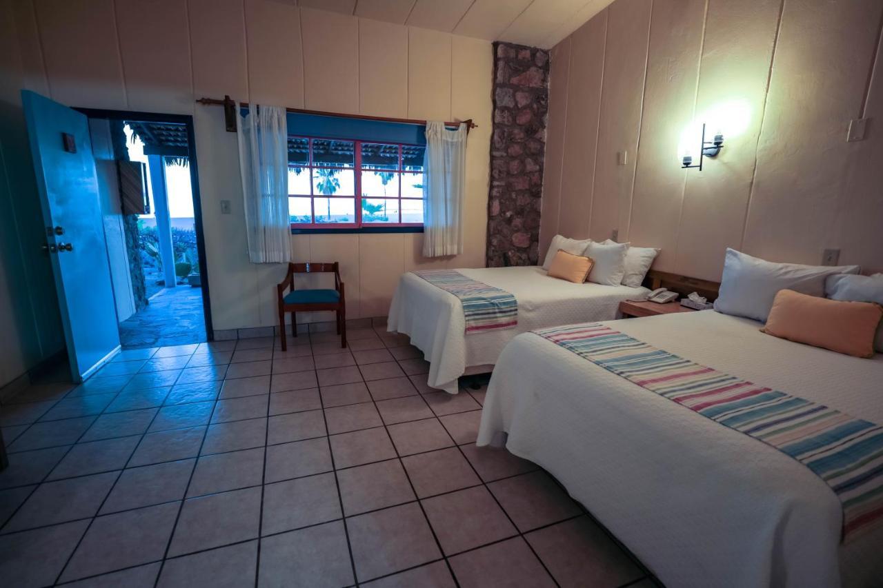 Hotel Oasis Loreto  Extérieur photo