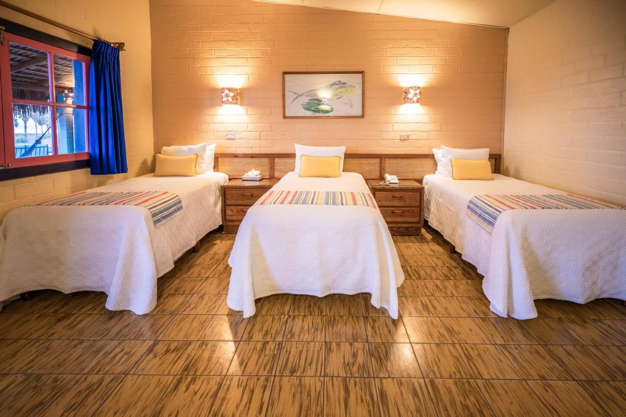 Hotel Oasis Loreto  Extérieur photo