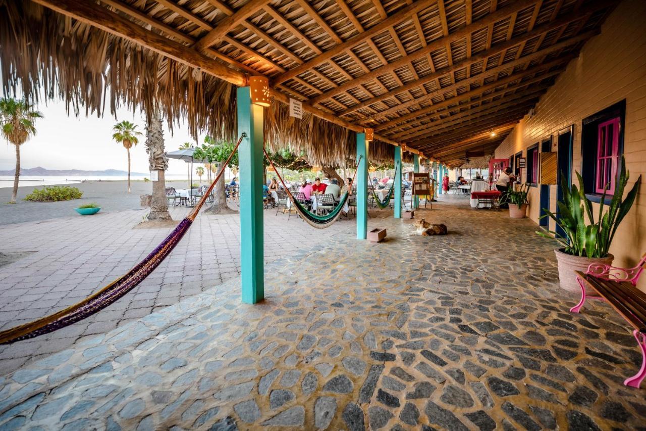 Hotel Oasis Loreto  Extérieur photo