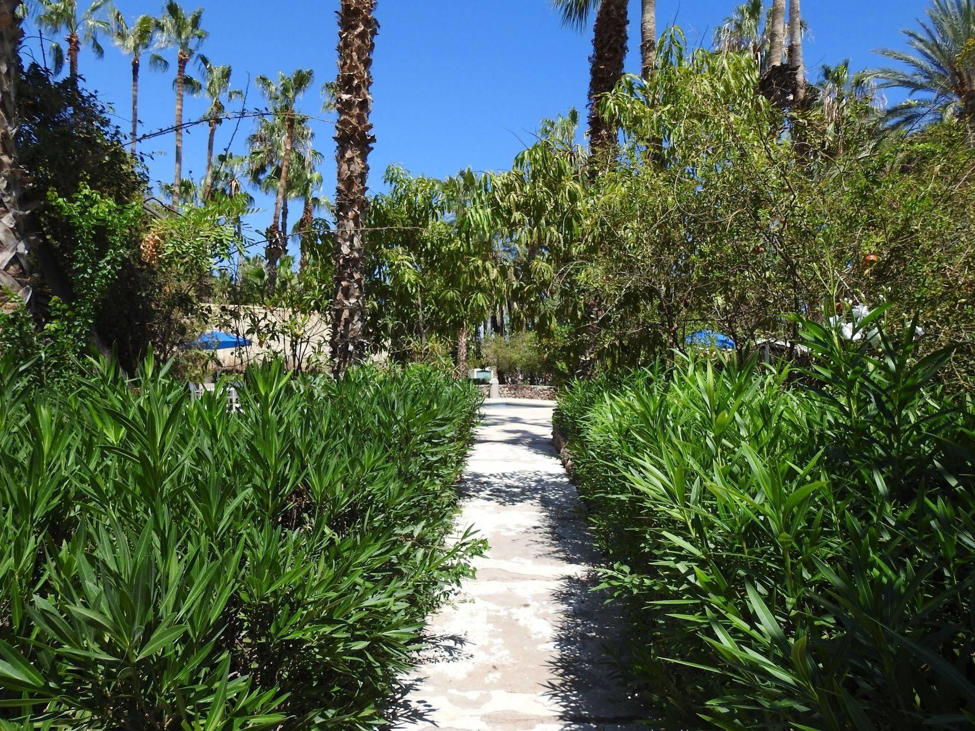 Hotel Oasis Loreto  Extérieur photo